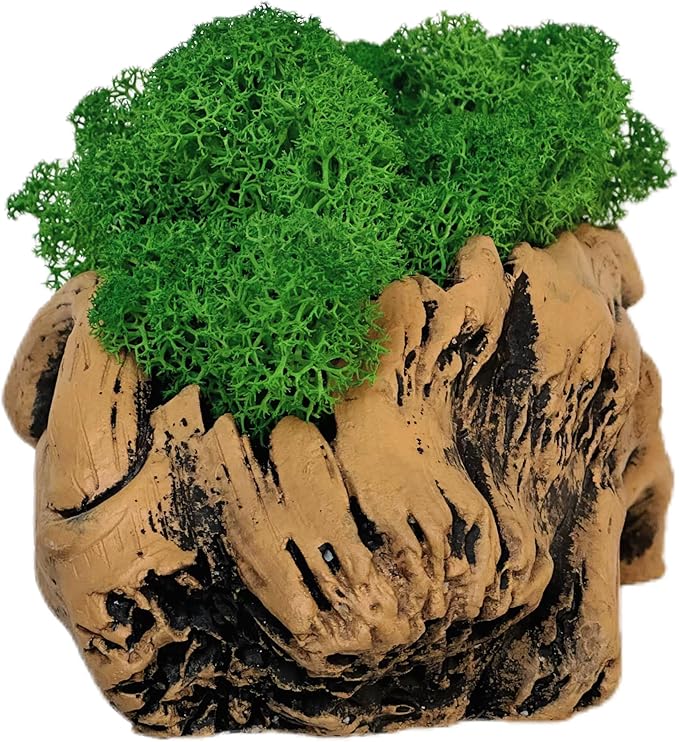Moss Centerpiece 6in, Handmade Artificial Bonsai with Real Moss, No Maintenance