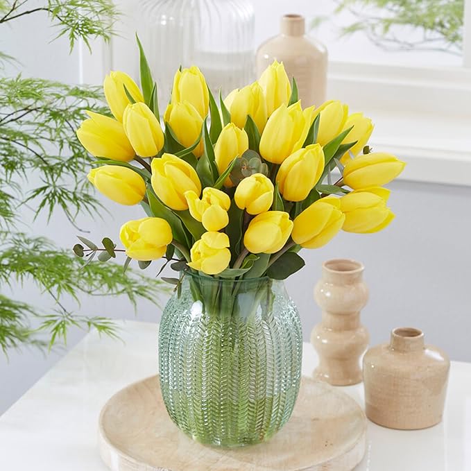Garden State Bulb Darwin Hybrid Yellow Impression Tulip Flower Bulbs, 12/+ cm, Fall Planting (Bag of 50)