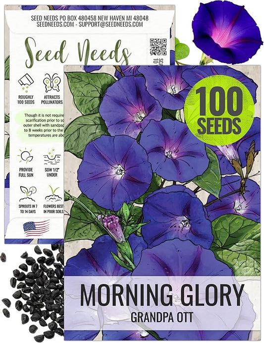 Seed Needs, Grandpa OTT Morning Glory Seeds - 100 Heirloom Seeds for Planting Ipomea purpurea - Annual Blue/Violet Blooms, Flowering Vine for a Natural Privacy Fence (1 Pack)