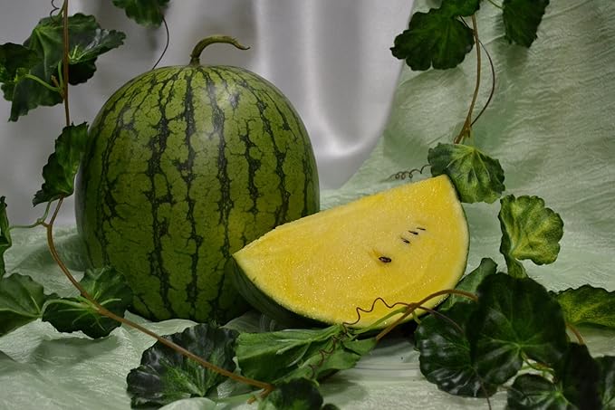 Yellow Watermelon Seeds Rare Hierloom Vegetable for Planting Giant Non GMO 15 Seeds