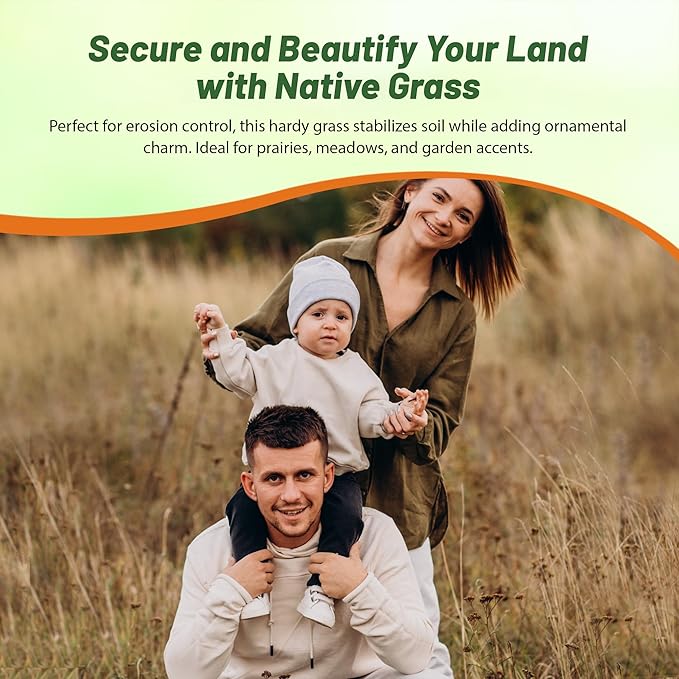 Outsidepride Perennial Andropogon Big Bluestem Grass Seed - 5 lbs. Warm Season, Drought Resistant, Native Prairie Grass Seed, Ideal for Erosion Control, Ornamental Landscaping & Wildlife Gardens