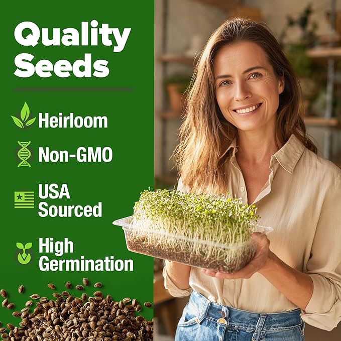 HOME GROWN Alfalfa Sprout Seeds 199,500+ 16oz Bulk Pack with Thousands of Seeds Alfalfa for Sprouting & Microgreens Indoor Outdoor Growing Resealable Bag High Germination