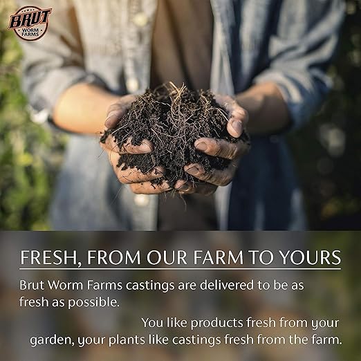 All Organic Fertilizer Worm Castings Filled with Nutrients and Minerals for a Variety of Indoor and Outdoor Plants, 30 Pounds, 2 Pack
