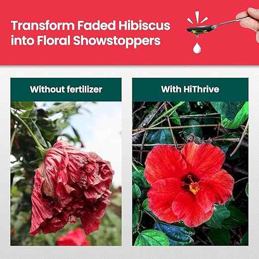32oz Hibiscus Fertilizer - Makes 32 Gallons of Hibiscus Flowers Plant Food Outdoor - Indoor Plant Fertilizer Liquid for Vibrant, Showy Flowers, Greener Leaves, Strong Roots, and Lush Growth