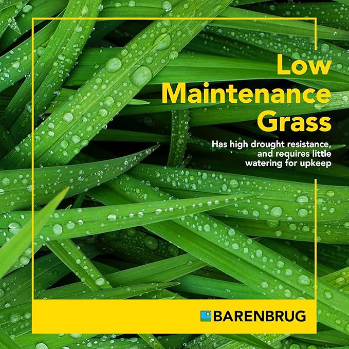 Barenbrug Wonderlawn Sun and Shade Grass Seed Mix for Lawn Care and Landscaping, 3 lbs. Bag
