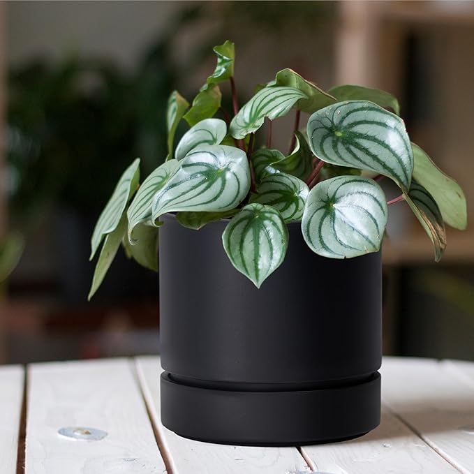 6 Inch Modern Plastic Round Pots for Indoor Houseplants and Herbs, Pack of 3 Planter Pot with Drainage Hole & Saucer, Deep Water Catch Tray, Straight Cylindrical Pot for Plants, Matte Black, 23-D-S-2