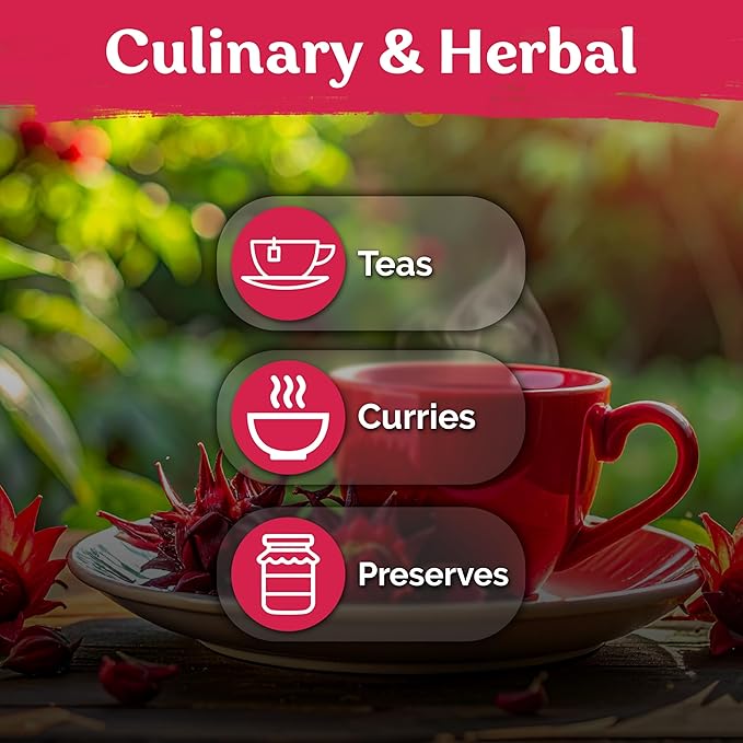 KVITER 150 Roselle Seeds for Planting (Hibiscus Sabdariffa) – Jamaican Sorrel/Cranberry Hibisco Seeds/Gongura Seed/Sour Leaf Seed – Perfect for Hibiscus Tea Organic, Outdoor & Indoor Garden