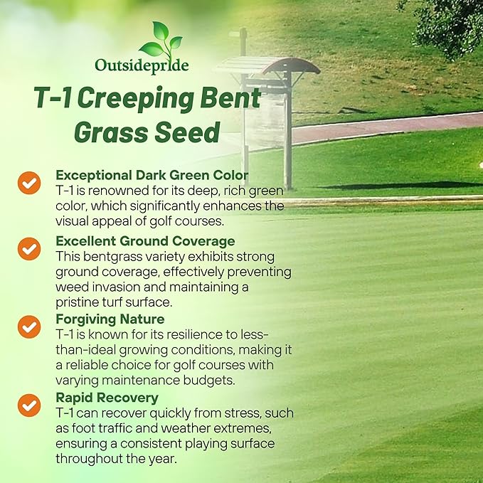 Outsidepride T-1 Creeping Bentgrass Seed - 1 lbs Fine-Bladed, Premium Quality Turf, Grass Seed for Smooth Surface, & High-Traffic Areas, Ideal Grass for Golf Courses Putting Greens, & Fairways