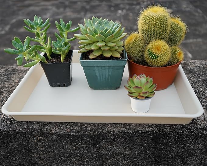 2 Pack Rectangular Plant Saucer Tray, Heavy Duty Plastic, Beige, 17.5" x 10.6" x 1.5" (2 pack), Plant Drip Trays for Pots, Seed Starter Growing Trays, Indoor/Outdoor Use