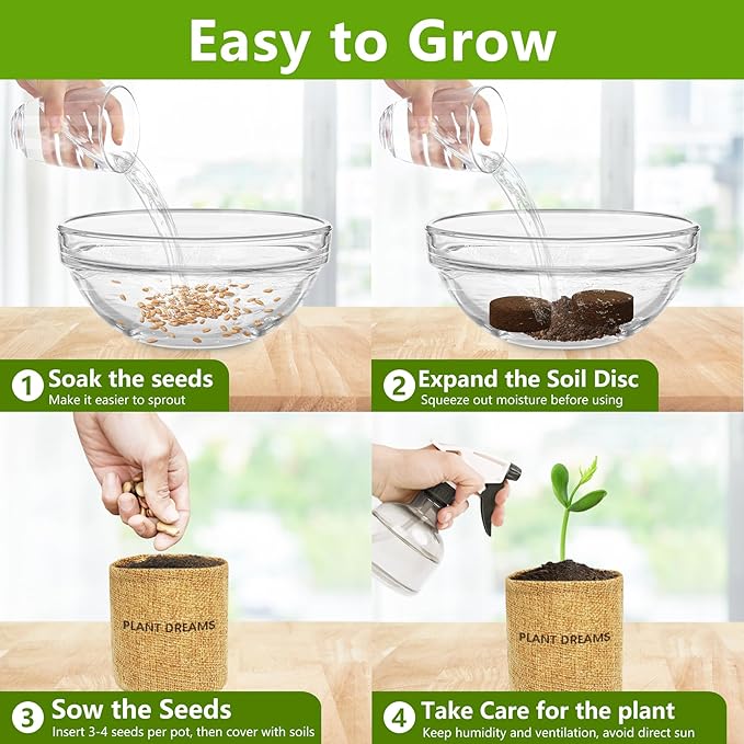 Bonsai Tree Kit, Bonsai Starter Kit with Seeds & Tools, Tree Live Plants Indoor, Gardening Gifts for Women Men Mom Father Plant Lover, Birthday Thanksgiving Christmas Gifts