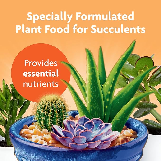 Miracle-Gro Succulent Plant Food, Liquid Plant Food for Indoor Succulents, Cacti, Jade Plants, Aloe Vera and More, 8 oz., 3-Pack