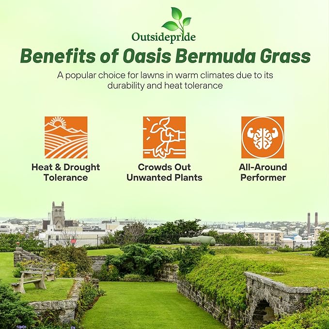 Outsidepride Oasis Bermuda Grass Seed - 10 lbs Warm Season, High Traffic, Heat Resistant, Drought-Tolerant, Low-Maintenance, Fast Growing Turf Grass for Lawn, Ideal for Sunny Areas, Thick Coverage