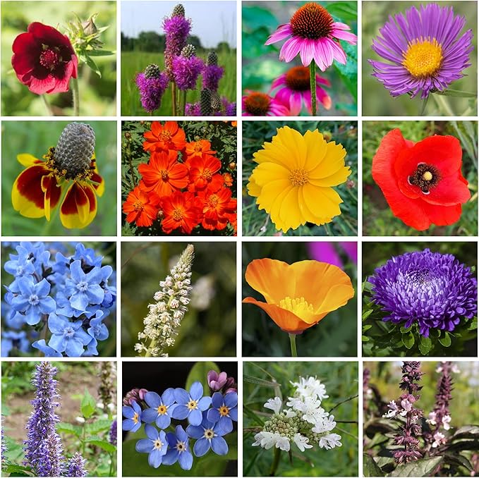 Mini Wildflower Seed Shaker – Honey Bee Wildflower Mix, by GevaGrow | Bulk 90,000+ Seeds | Pollinator Bee Attracting Flower Seeds for Planting in Pots & Outdoor Gardens | No Messy Packets