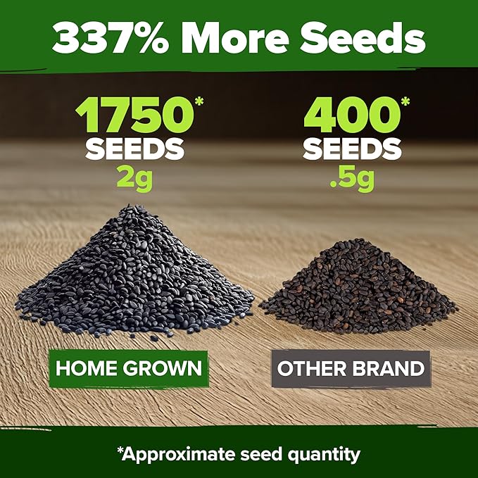 HOME GROWN Genovese Basil Seeds Pack 1,750+ High Germination Heirloom Seeds (Ocimum basilicum) Herb Seeds for Planting Indoor & Outdoor Gardening, for Culinary Use