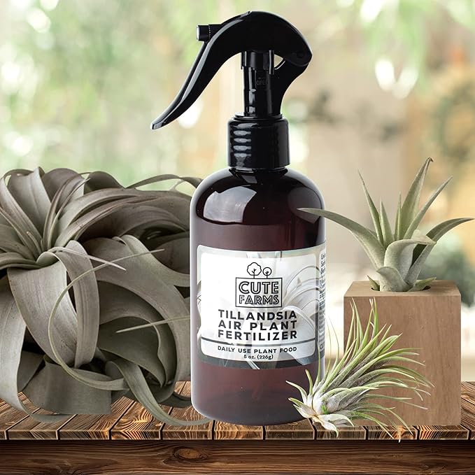Cute Farms Tillandsia Air Plant Fertilizer | Gentle Daily Use Formula Plant Food | Formulated Nutrients for Air Plants (8 oz. Spray Bottle)
