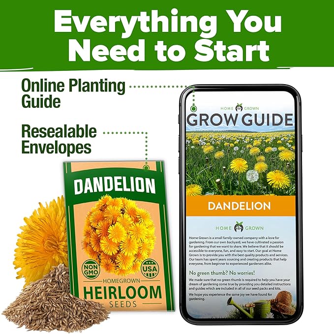 HOME GROWN Dandelion Seeds for Planting – 600 Heirloom Medicinal Herb Seeds (~0.3g) Grow Edible Leaves and Flowers for Remedies or Wildlife (Taraxacum officinale)