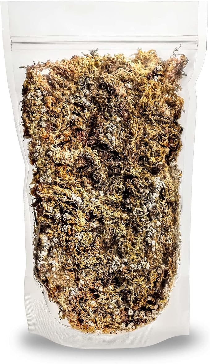 Gardenera Sphagnum Moss Potting Mix for Carnivorous Plants, Moss and Perlite Blend for Potting Venus Fly Traps, Sarracenia, Pitcher Plants - 75% Sphagnum Moss + 25% Perlite - Made in USA - 4 Quart