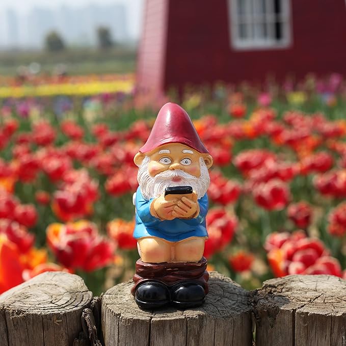 Garden Gnome Statue, Naughty Funny Toilet Gnome, Outdoor Indoor Decoration, Lawn Statue, Patio Porch Decoration, Gift