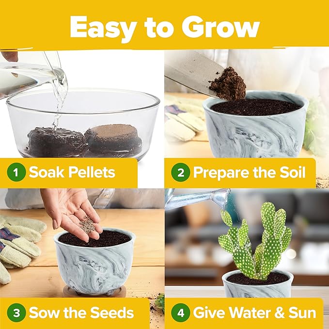 Succulent & Cactus Grow Kit – Complete Plant Gift Set with 4 Ceramic Pots & Trays, 6 Seed Packs (3 Cactus, 3 Succulent), Plant Markers, Peat Pellets, Nutrients & Guide – Ideal Holiday & Birthday Gift
