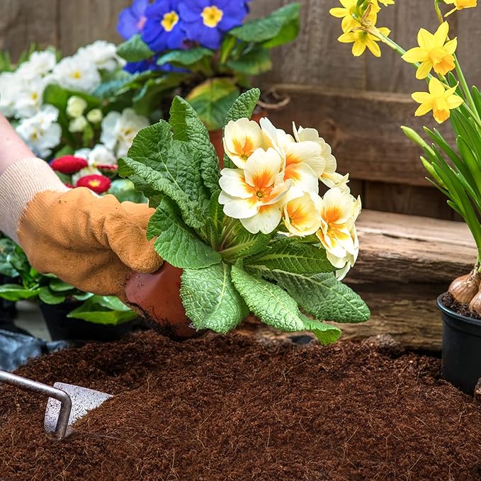 ZeeDix Coco Coir Potting Soil, 150pcs 30mm Compressed Coconut Fiber Seed Starter Soil Pellets, Coco Peat Soil Discs for Indoor Outdoor Plants, Herbs, Houseplants, Flowers, Succulents, Vegetables