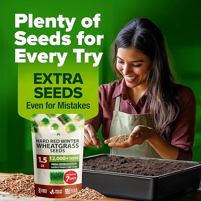 HOME GROWN 12,000+ Wheatgrass Seeds Bulk Pack(1.5 lb) Hard Red Winter Wheatgrass – Heirloom, Sprouting for Juicing, Microgreens, Smoothies & Indoor Gardening(Triticum aestivum)