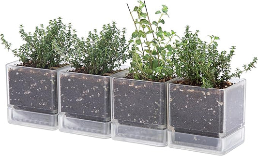 D'vine Dev 4 Inch Herb Planter Pot, Plastic Planter with Drainage Holes and Saucer, Modern Decorative Gardening Pot for Indoor Plants, Flowers, Herbs, Succulents, Clear, Set of 4, 76-Y-D-4