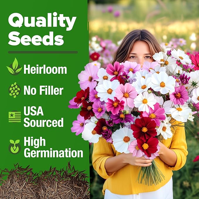 HOME GROWN Cosmos Flower Seeds Bulk Pack for 2026 (1.8 oz) 8,000+ Non GMO Heirloom Annual Wildflower Seeds – Pollinator-Friendly Mix for Pollinators & Outdoor Gardens