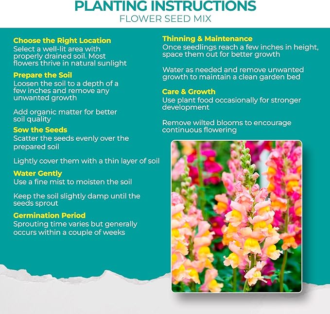 1700 + Mixed Combo Flower Seed Varieties for Your Home Garden, 35 Varieties Including Petunia, Zinnia, Sunflower Seeds and More, Attracts Pollinators, Non- GMO and Heirloom Seeds