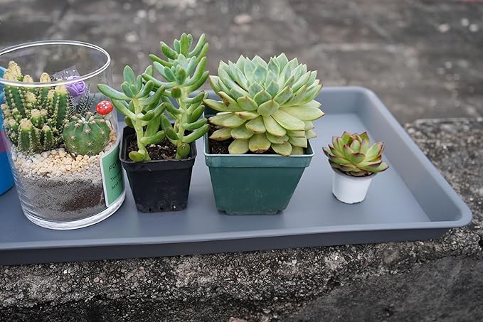 2 Pack Plant Saucer Tray Rectangular, Plant Growing Nursery Trays, Heavy Sturdy Seed Starting Trays, Plant Starter Trays for Indoors No Holes, Seed Starter Growing Tray (17.5"x10.6", Gray)