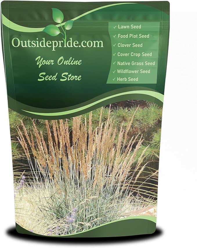 Outsidepride Indian Native Grass Seed - 5 lbs. Perennial, Low Maintenance, Drought-Tolerant Prairie Grass Seed for Wildlife Habitat, Livestock Forage, Ornamental Landscaping & Erosion Control
