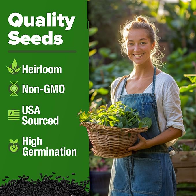 HOME GROWN Lemon Balm Seed Pack - 403 Non-GMO USA Heirloom Herbal Tea Seeds - Bulk Lemon Balm Seeds for Planting Gardens Indoors or Outdoors - Herb Seeds (Melissa officinalis)