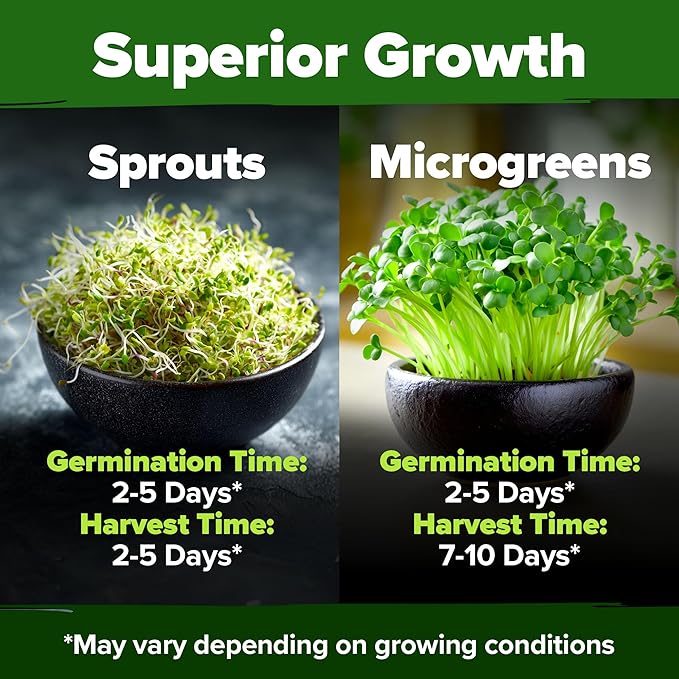 HOME GROWN 16oz Premium Sprouting Seeds Mix 118,200+ Microgreens Seeds for Indoor Growing - Non-GMO Broccoli, Alfalfa, Radish, Clover Sprouts Seed - Resealable Pack for Healthy Salad & Juicing