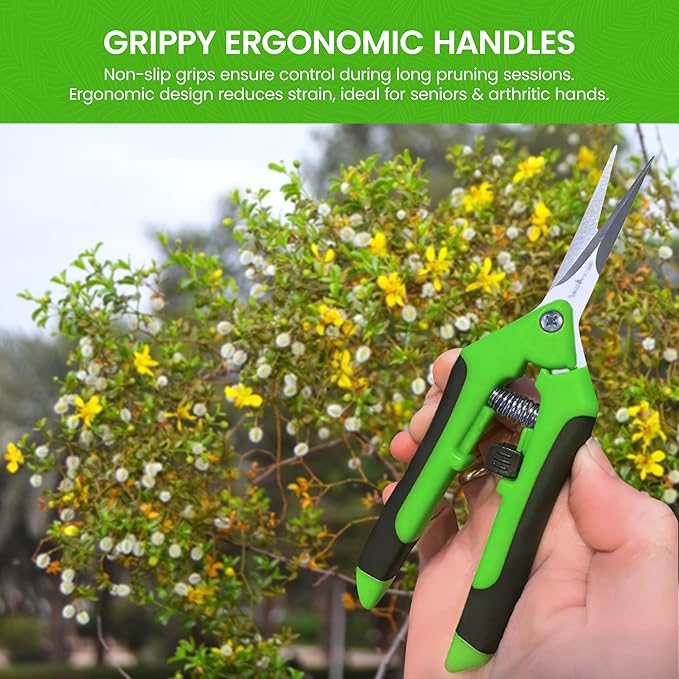 GARDEN GURU Razor Sharp Snip – Professional Garden Pruning Shears Trimmers Scissors – Super Sharp Micro-Tip Precision Stainless Steel Blades - Easy on Arthritic Hands - Soft Ergonomic Rubber Handles