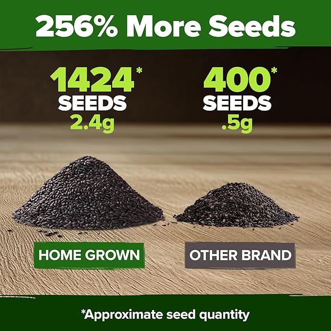 HOME GROWN Italian Basil Seeds Bulk Pack 1,424 Sweet Large Leaf Basil Seeds for Planting and Heirloom Herb Seeds for Planting Indoors or Outdoors (Ocimum basilicum)