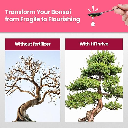 32oz Bonsai Tree Live Liquid Plant Food - Makes 64 Gallons of Bonsai Fertilizer Liquid, Premium Macronutrient Formula Enriched with Micronutrients for Healthy Roots, Branching & Foliage