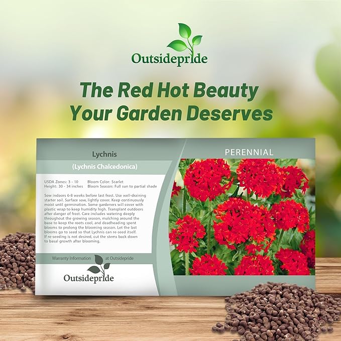 Outsidepride Chalcedonica Lychnis Seeds - 5000 Pcs Perennial Flower Seeds with Long Blooming Season & Attractive to Pollinators, Easy to Propagate for Borders, Containers, or Cottage Gardens