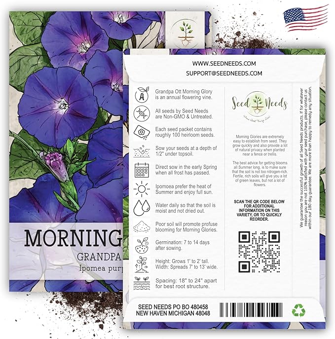 Seed Needs, Grandpa OTT Morning Glory Seeds - 100 Heirloom Seeds for Planting Ipomea purpurea - Annual Blue/Violet Blooms, Flowering Vine for a Natural Privacy Fence (5 Packs)