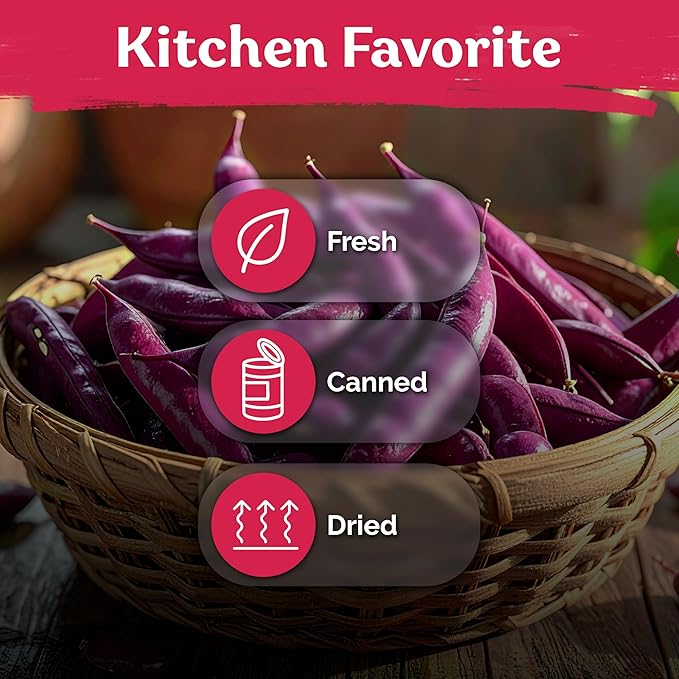 KVITER 75 Top Pick Pinkeye Cow Pea Seeds for Planting (Vigna Unguiculata) – Field Pea, Bush Purple Hull Peas, Heirloom & Organic | Peas & Beans – Vegetable Seeds for Outdoor Garden, Beds, Containers