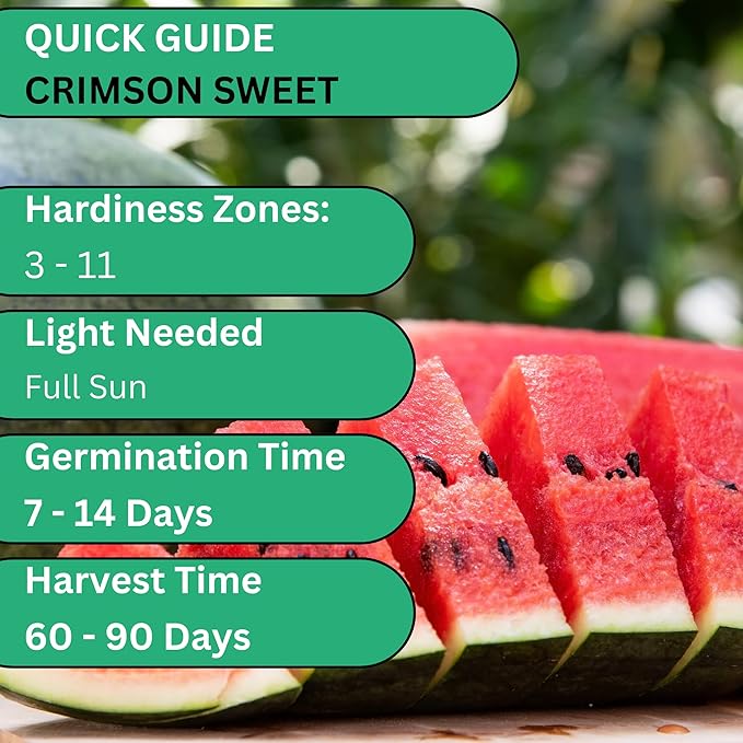 Woods Creek Seeds: Crimson Sweet Watermelon Seeds for Planting - Over 45 Heirloom Watermelon Seed Pack - Non-GMO Fruit Seeds for Planting Home Garden or Outdoors - Mini Watermelon Seeds for Gardeners