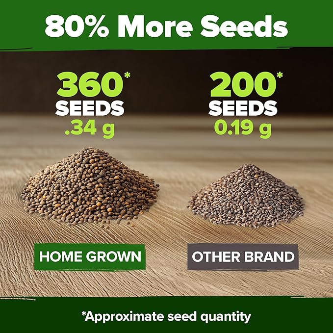 HOME GROWN Culantro Seeds 360 Herb Seeds for Planting Non-GMO Heirloom Variety, Robust Flavor, Thrives in Heat, Grows Indoors or Outdoors, Cilantro Substitute (Eryngium Foetidum)