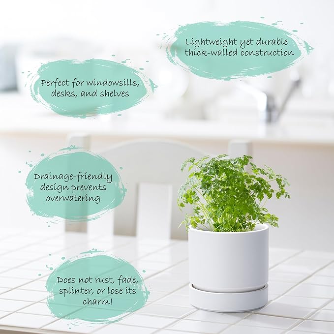 Phoenix Vine 4 Inch Planter Pot with Drainage Hole & Saucer, Deep Water Catch Tray, Straight Cylindrical Round Pot for Plants, Matte White, Pack of 1, 23-B-R-1