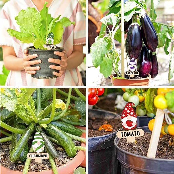 Huray Rayho Gnome Wooden Plant Markers for Vegetable Flowers Garden Potted Plants Tags 15-Pack Funny Wood Plant Labels Garden Stakes Patio Decorations Funny Gifts for Plant Lady Woman Novelty Gift