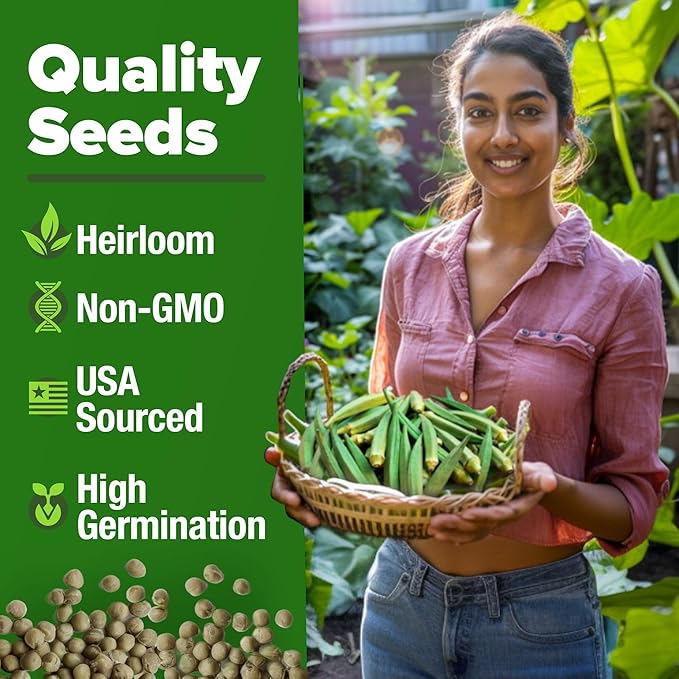 HOME GROWN Clemson Spineless Okra Seeds 101+ Heirloom Vegetable Seeds for Planting Easy to Grow Outdoor Summer Garden High Germination Rate (Abelmoschus esculentus)