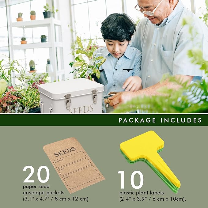 Garden Seed Storage Box with Dividers Seeds Packet Organizer Case for Gardening 3 Inner Slot Bird Plant or Vegetable Seed Container Saver Tin – White Galvanized Metal with Envelopes & Labels