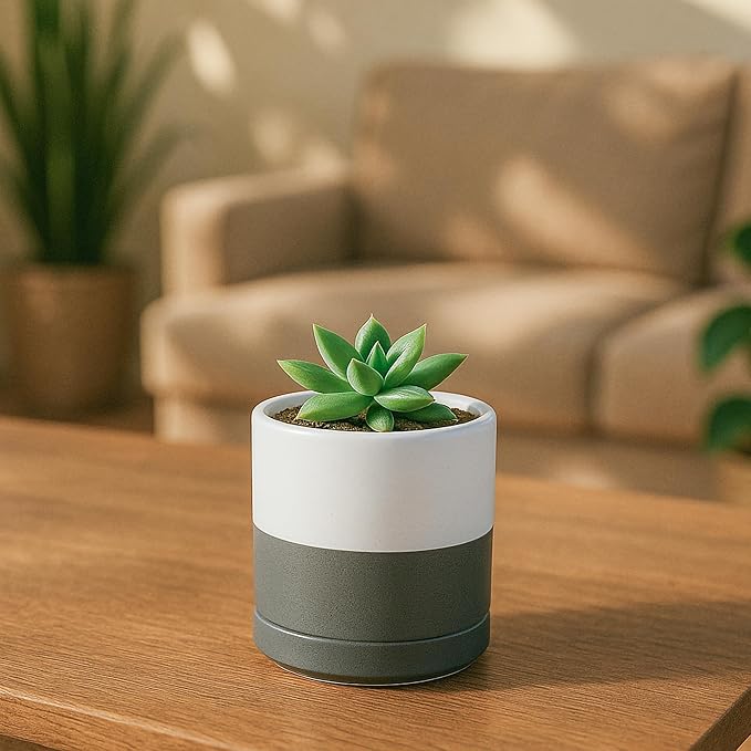 D'vine Dev 3.5 Inch & 4.7 Inch Ceramic Planter Pots for Plants with Drainage Hole and Saucer, X-Small Plant Pots Set, White/Speckled Grey, 94-G-XS-6