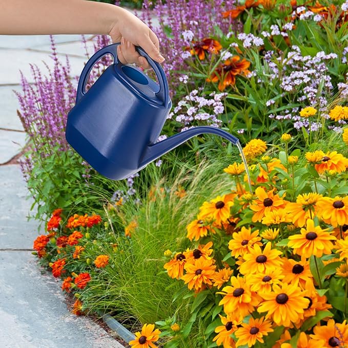 Fasmov Watering Can, 1/2 Gallon Plastic Watering Cans with Comfortable Handle, Small Garden Watering Cans Long Spout for Indoor Outdoor Watering Plants, Blue