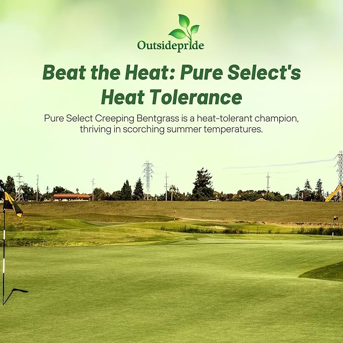 Outsidepride Pure Select Creeping Bent Grass Seed - 5 lbs. Premium Turf Grass for Putting Greens, Tees & Fairways, Dense & Fine-Textured Lawn Seed for Smooth, Professional-Quality Golf Greens & Lawns