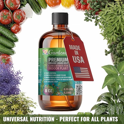 GARDENERA Premium Organic Seaweed & Kelp Superfood for PHALAENOPSIS Plants - 32 oz - Liquid Kelp Fertilizer Concentrate (Makes 180 Gallons)
