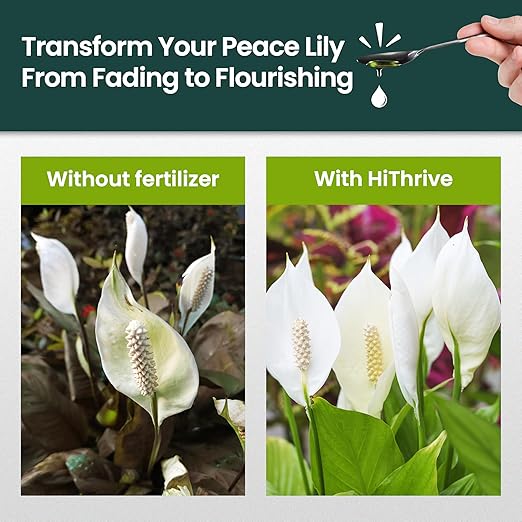 16oz Peace Lily Plant Indoor Live Fertilizer - Makes 96 Gallons of Peace Lily Fertilizer - Nutrient-Rich Liquid Plant Food for Lush Foliage, Stronger Roots, and Elegant White Blooms