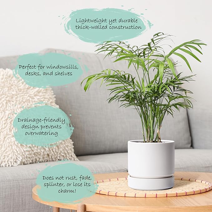 Phoenix Vine 6 Inch and 8 Inch Planter Pot with Drainage Hole & Deep Water Catch Tray Saucer, Straight Cylindrical Round Pot for Plants, Matte White, 23-A-1-Y